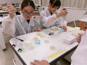遺伝子組み換え実験を体験する中学生