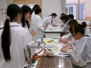 遺伝子組み換え実験の様子