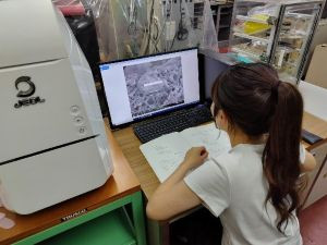 研究の様子1