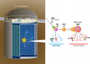 スーパーカミオカンデ検出器内で超新星背景ニュートリノ(反電子ニュートリノ)が観測される様子。