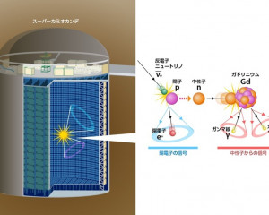 スーパーカミオカンデ検出器内で超新星背景ニュートリノ(反電子ニュートリノ)が観測される様子。